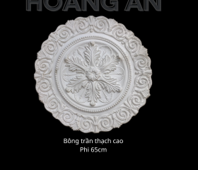 BÔNG TRẦN MẪU 01