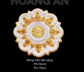 BÔNG TRẦN MẬU 10