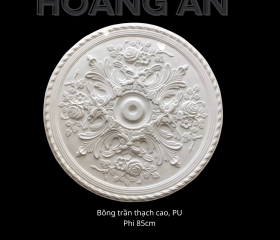 BÔNG TRẦN MẪU 17