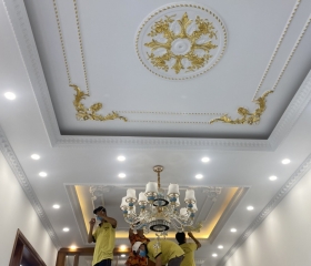 MẪU 50