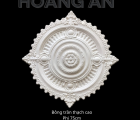BÔNG TRẦN MẪU 18