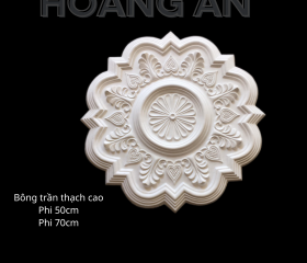BÔNG TRẦN MẪU 19