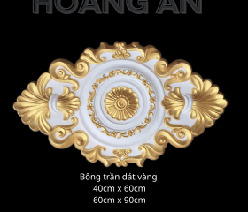 BÔNG TRẦN MẪU 02