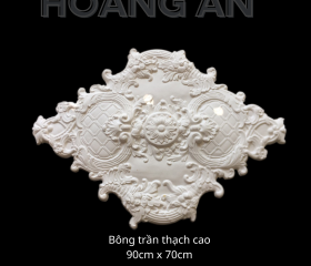 BÔNG TRẦN MẪU 20