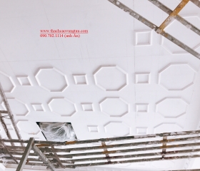 MẪU 021