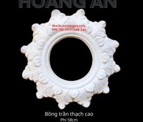 BÔNG TRẦN MẪU 22