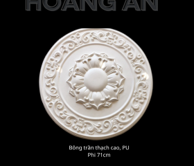 BÔNG TRẦN MẪU 23