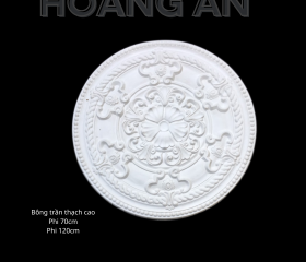 BÔNG TRẦN MẪU 24