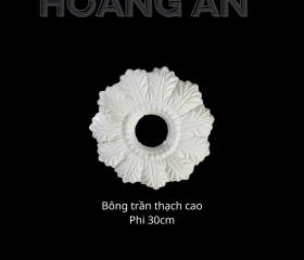 MẪU BÔNG TRẦN 25