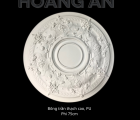BÔNG TRẦN MẪU 28