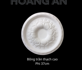 BÔNG TRẦN MẪU 29