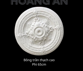 BÔNG TRẦN MẪU 31