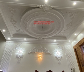 MẨU 23