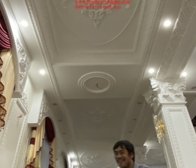MẪU 24