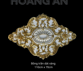 BÔNG TRẦN MẪU 04