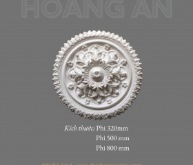 PHÙ ĐIÊU MẪU 49