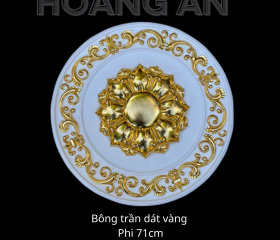 BÔNG TRẦN MẪU 08