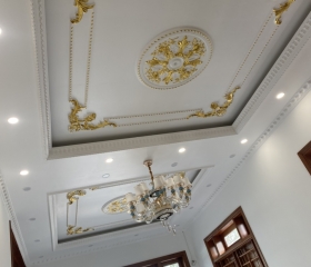 MẪU 41