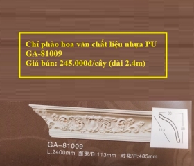 GA-81009