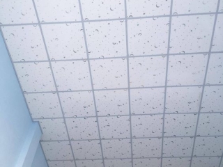 Đóng trần thạch cao 