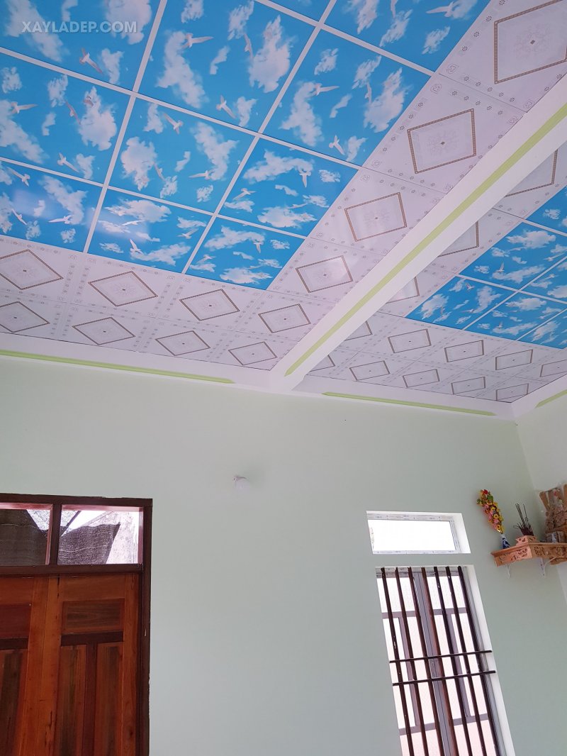 trần thả uy tín vũng tàu