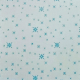TẤM TRẦN NHỰA PVC MẪU 13