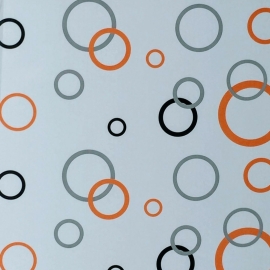 TẤM TRẦN NHỰA PVC MẪU 16
