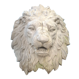 ĐẦU SƯ TỬ NHỎ